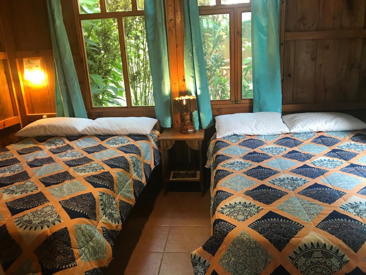 Hosteria Los Cedros De Mindo Zewnętrze zdjęcie