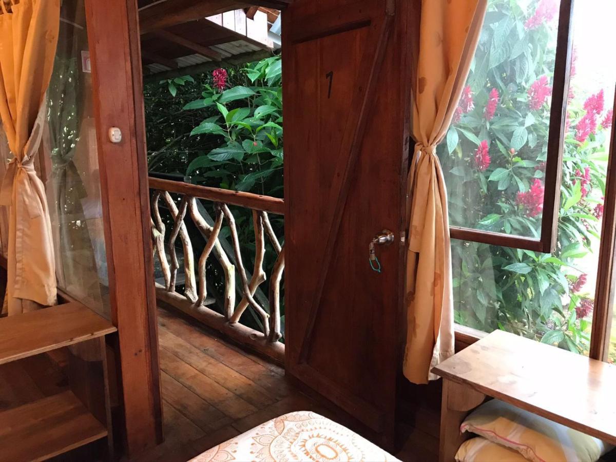 Hosteria Los Cedros De Mindo Zewnętrze zdjęcie