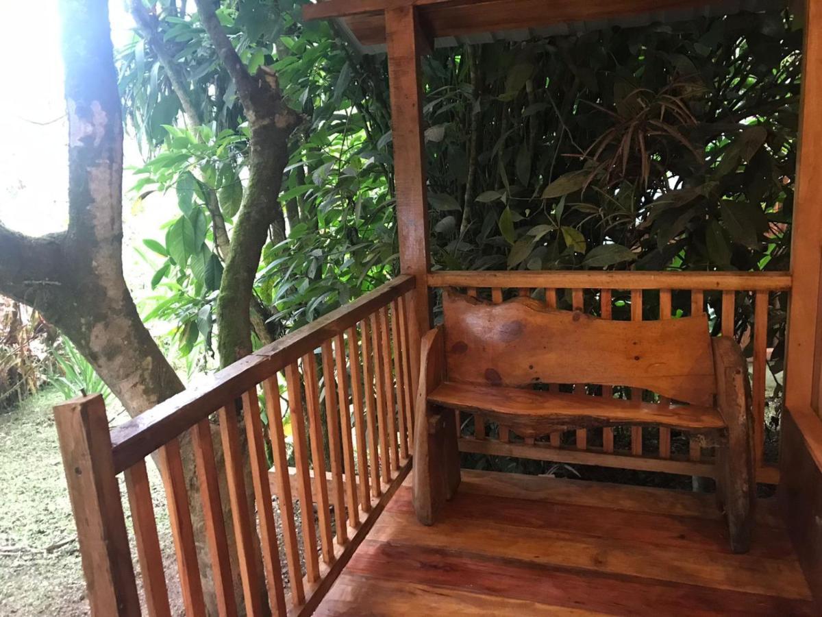 Hosteria Los Cedros De Mindo Zewnętrze zdjęcie