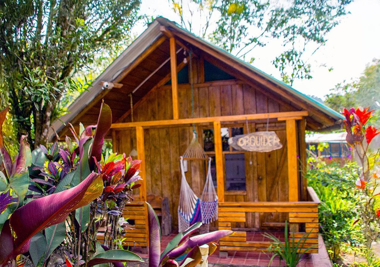 Hosteria Los Cedros De Mindo Zewnętrze zdjęcie